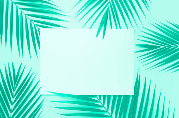 istock Tropical palm leaves on mint color background with paper card note. Minimal summer concept. Trendy green and turquoise color. Creative layout. Top view, flat lay. 1180975992