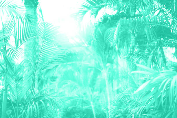 istock Vintage tropical palm trees. Tropical palm leaves with sun leaks effect. Floral pattern background in mint color. Trendy green and turquoise color. Summer, holiday and travel concept 1180976280