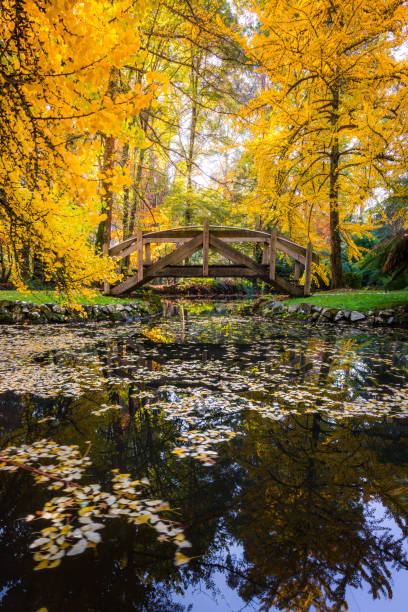 istock Autumn bridge over lake - portrait orientation 1180979494