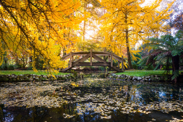 istock Autumn bridge over lake - landscape orientation 1180979497