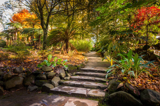 istock Autumn tree lined stairs - landscape orientation 1180979498