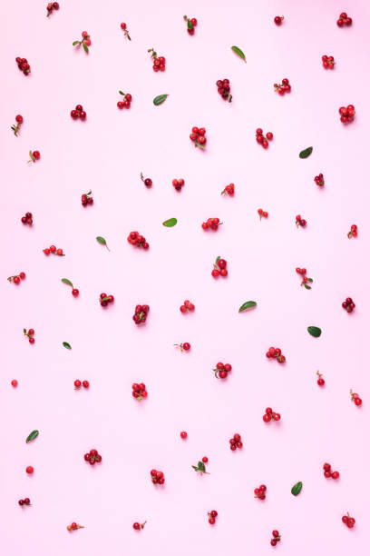 istock Colourful bright pattern made of natural berries on pink background. Top view. Summer red lingonberry pattern 1180979573
