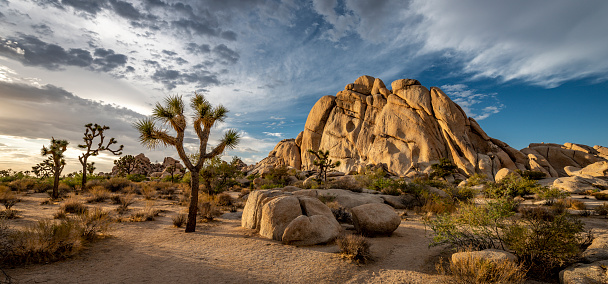 This is a wide angle photograph of a small tent setup at the Jumbo Rocks Campground in Joshua Tree National Park in the Mojave Desert, California.