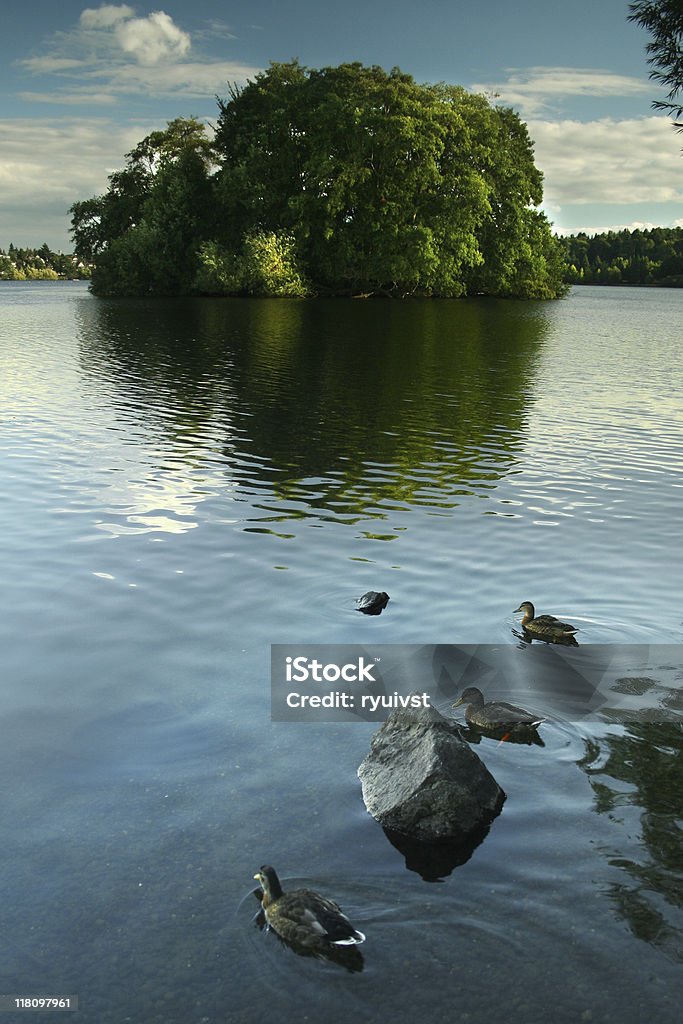 Green Lake, Seattle - Photo de Bleu libre de droits