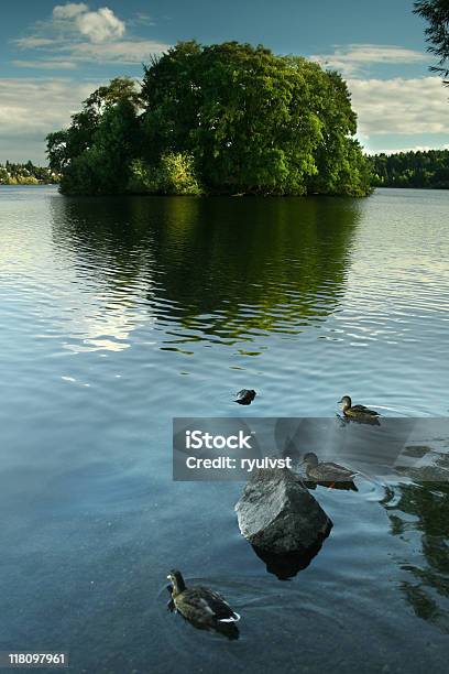 Foto de Lago Verde Seattle e mais fotos de stock de Arbusto - Arbusto, Azul, Céu - Fenômeno natural