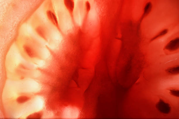 istock Red tomato cut in half with the texture of seeds 1180980971