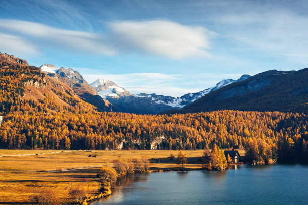 lago de otoño sils en los alpes suizos - silvaplanersee fotografías e imágenes de stock