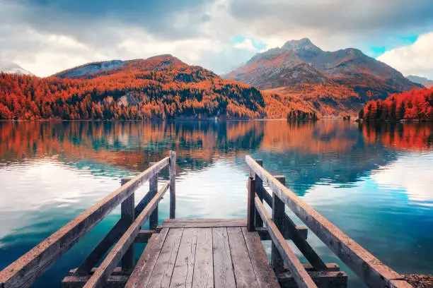 Wooden pier on autumn lake Sils (Silsersee) in Swiss Alps. Snowy mountains and orange trees on background. Switzerland, Maloja region, Upper Engadine. Landscape photography