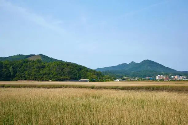 Beolgyo is a small village in Boseong-gun, Korea.