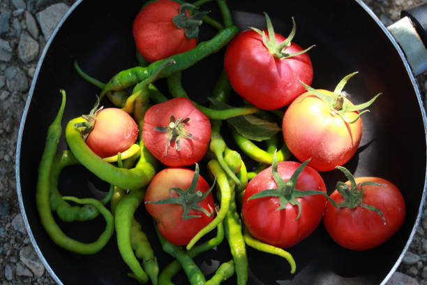 vegetables on the table