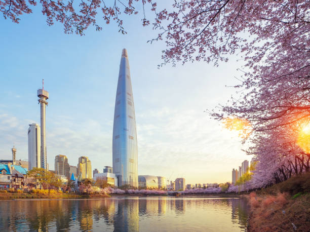 sakura ou parc de fleur de cerisier dans la ville de seoul avec le matin - séoul photos et images de collection