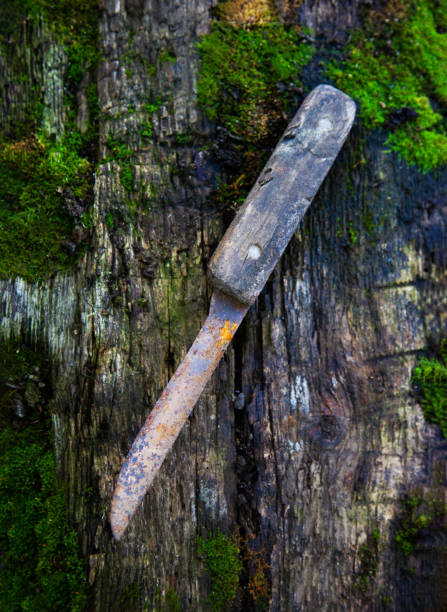 istock Old rusty knife on a wooden board covered with moss 1180986719