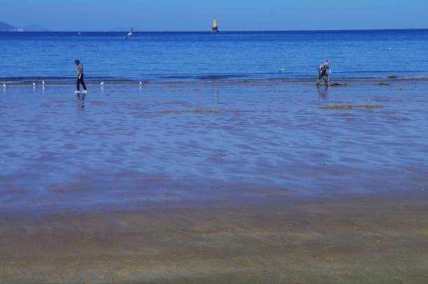 istock Buan County's ``Gappo Chaeseok River Beach.'' 1180987432