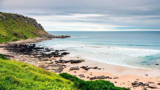 istock Petrel Cove beach during winter 1180989328