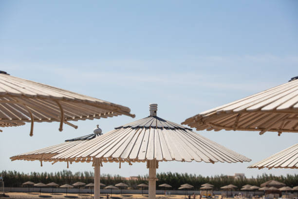 istock sunshade umbrella on sky background 1180989410