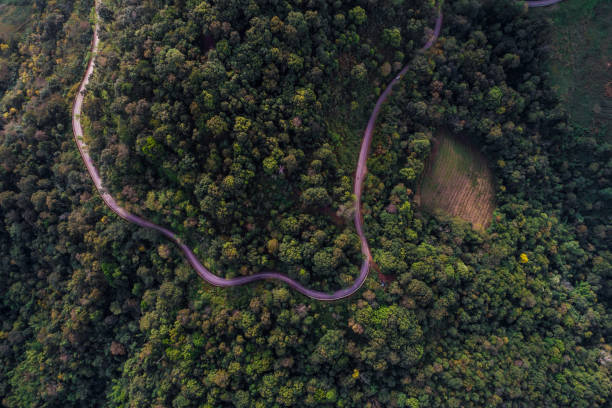istock Mountain green tropical forest aerial view 1180992958