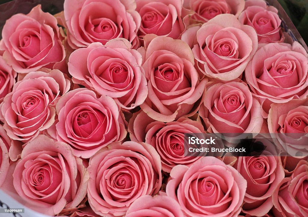 Buquê de rosas cor-de-rosa - Foto de stock de Bouquet royalty-free
