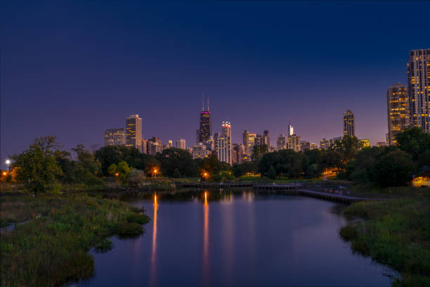 istock Chicago Skyline and Lake at night 1181000433