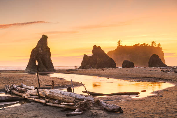 Olympic National Park, Washington, USA at Ruby Beach at dusk.