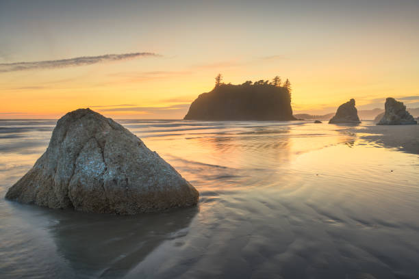 istock Olympic National Park, Washington, USA 1181002097