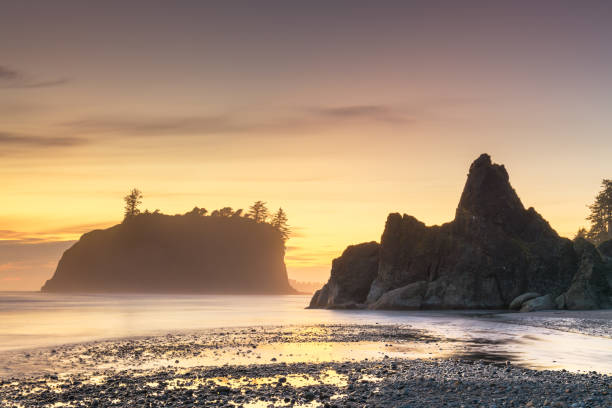 istock Olympic National Park, Washington, USA 1181003317