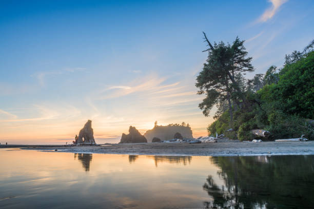 istock Olympic National Park, Washington, USA 1181003383