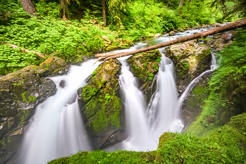 Sol Duc Falls in Olympic National Park, Washington, USA.