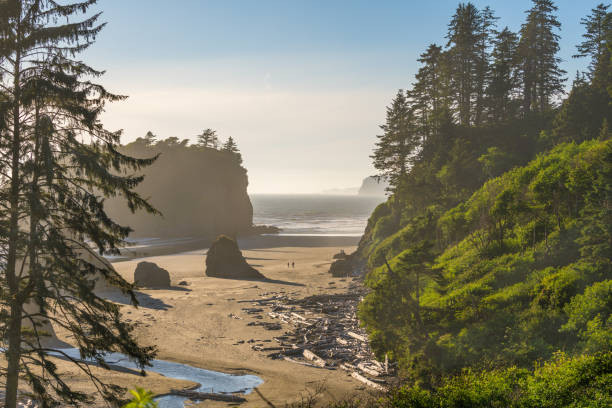 ruby beach, parque nacional olímpico, washington, estados unidos - olympic national park fotografías e imágenes de stock