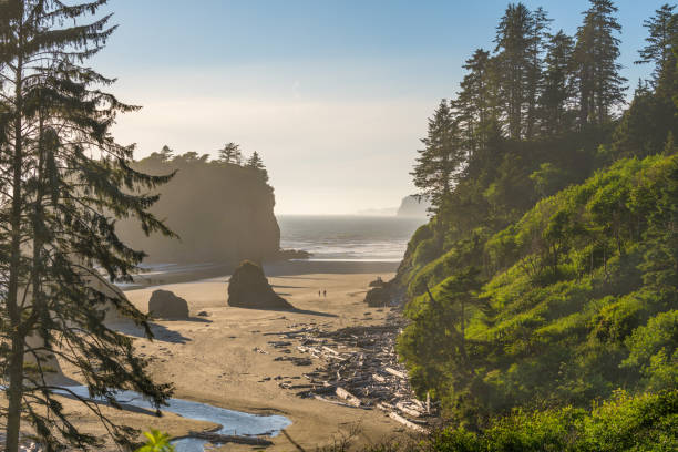 Ruby Beach, Olympic National Park, Washington, USA Ruby Beach in Olympic National Park, Washington, USA. olympic peninsula photos stock pictures, royalty-free photos & images