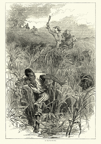 Vintage engraving of Hunting a runaway slave, Southern USA, 19th Century. African american man running through long grass chased by men on horseback with dogs