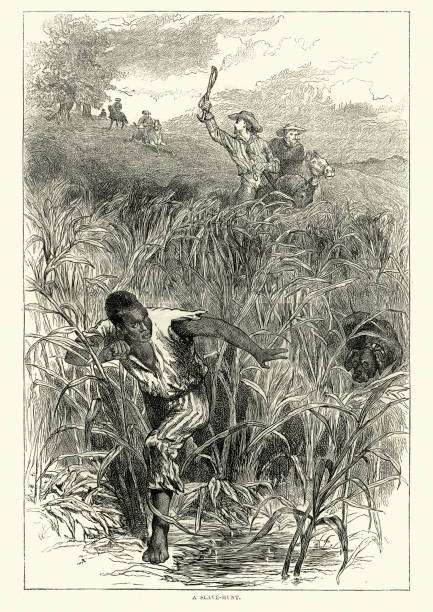 Hunting a runaway slave, Southern USA, 19th Century Vintage engraving of Hunting a runaway slave, Southern USA, 19th Century. African american man running through long grass chased by men on horseback with dogs runaway stock illustrations