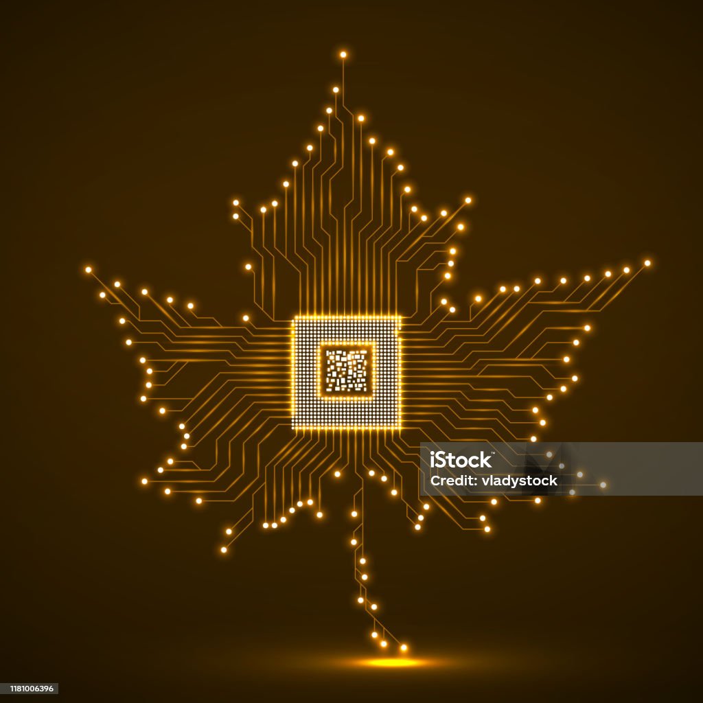 Mapple Leaf Computer Graphics Image Code Abstract Neon Maple Leaf With Microprocessor Inside Stock Illustration ...