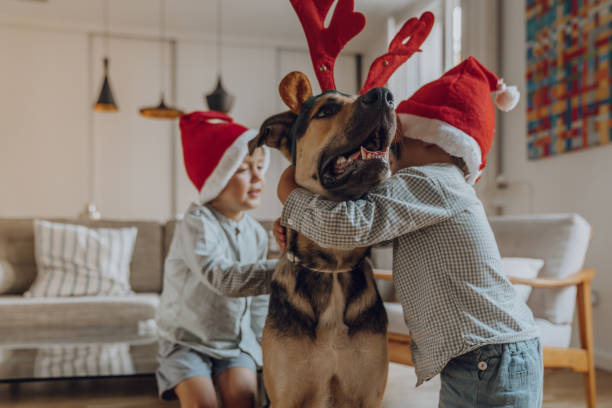 istock Boys wearing chritmas hats playing with dogs 1181009471