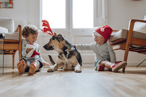 Boys wearing chritmas hats playing with dogs