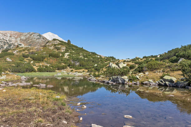 istock Mountain river and Vihren Peak, Pirin Mountain, Bulgaria 1181009732