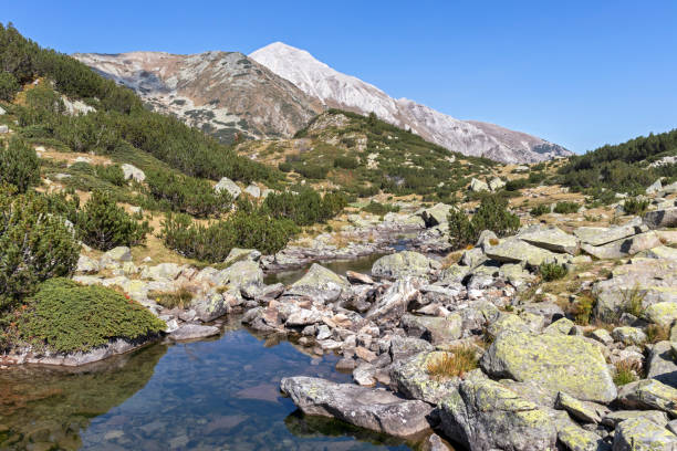 istock Mountain river and Vihren Peak, Pirin Mountain, Bulgaria 1181009790