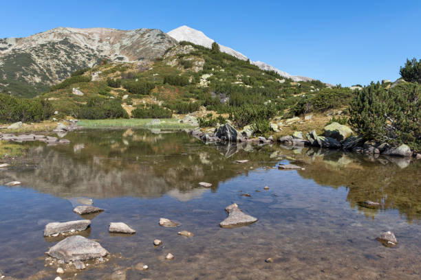 istock Mountain river and Vihren Peak, Pirin Mountain, Bulgaria 1181009857