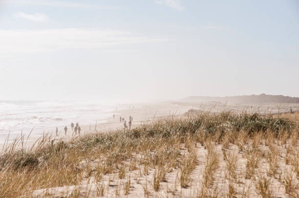 beachgoers korzystających mglisty, ale miły jesienny dzień w nauset beach - cape cod national seashore zdjęcia i obrazy z banku zdjęć