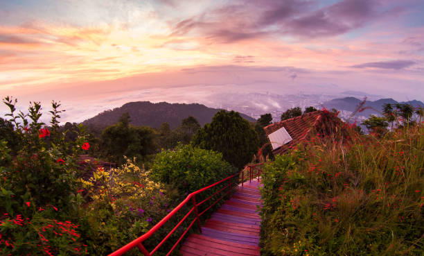istock George Town City view from Penang Hill during dawn 1181011819