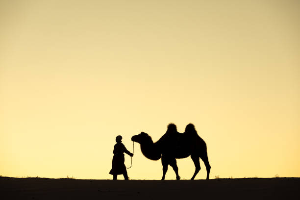 istock Mongolian woman with her camel in Gobi desert. 1181012045