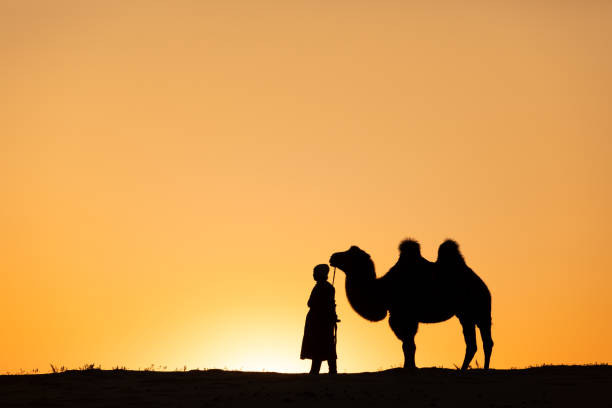 Mongolian woman with her camel in Gobi desert.