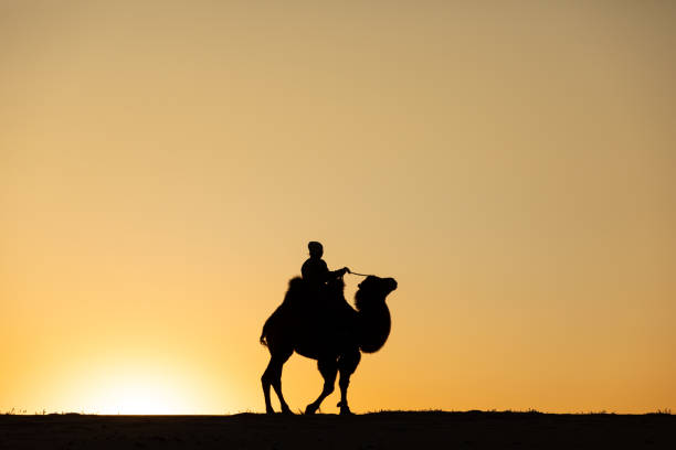 istock Mongolian woman with her camel in Gobi desert. 1181012066