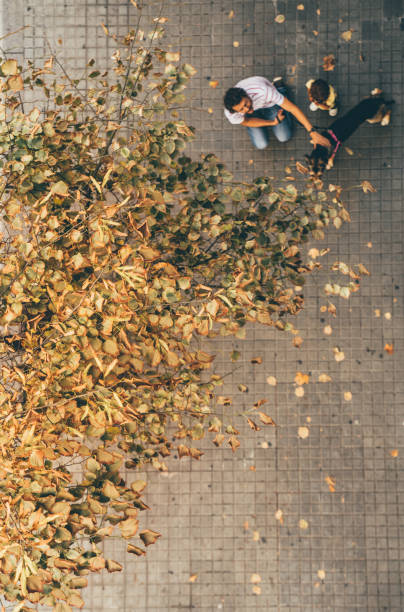 istock Aerial view of man walking dog 1181013072