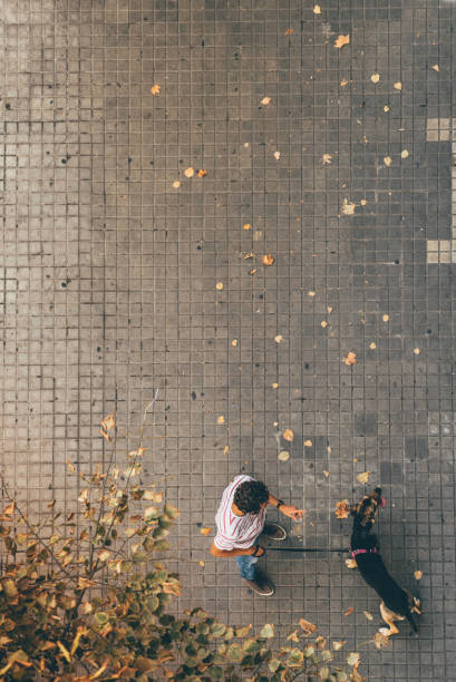 istock Aerial view of man walking dog 1181013116