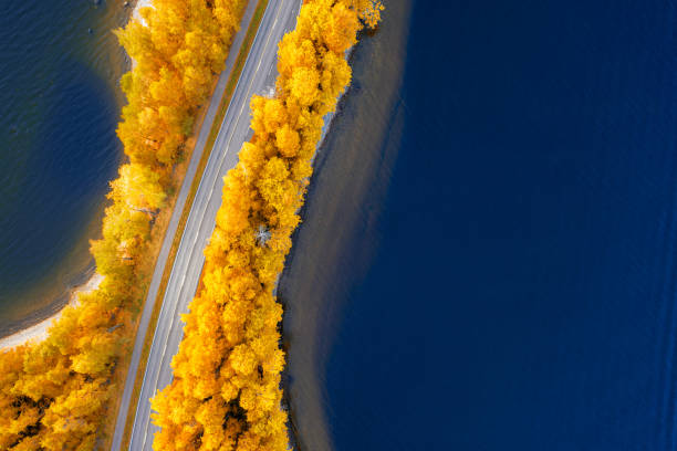 핀란드의 노란 주황색 가을 숲과 푸른 호수 사이의 도로의 조감도 - karelia 뉴스 사진 이미지