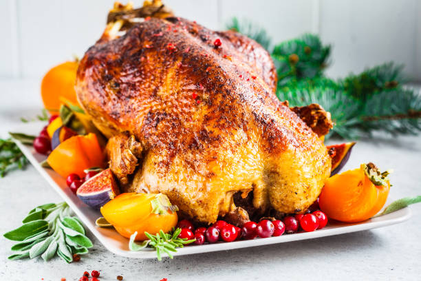 660+ Fig Duck Stock Photos, Pictures & Royalty-Free Images - iStock