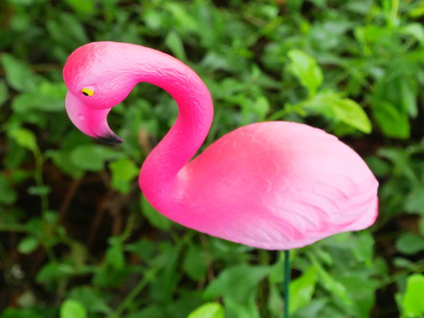 istock Pink Flamingo 1181014658