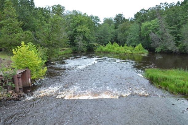 istock rive water with rapids and fish ladder and trees 1181015069