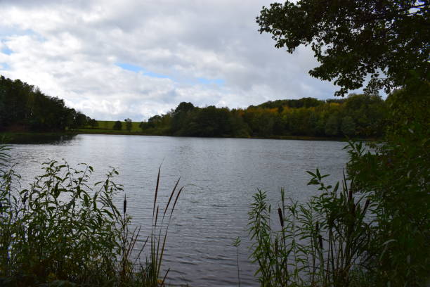 istock autumn at caldera lake Holzmaar 1181015291