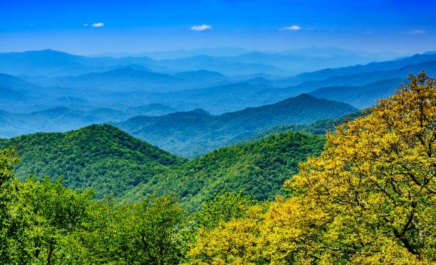 pasmo górskie blue ridge w karolinie północnej - mountain mountain range north carolina blue zdjęcia i obrazy z banku zdjęć